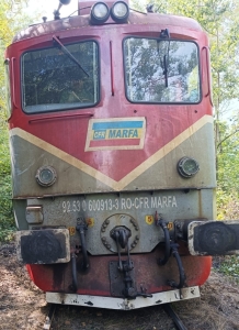 D490 RI Berbesti Popesti 24.07.2024